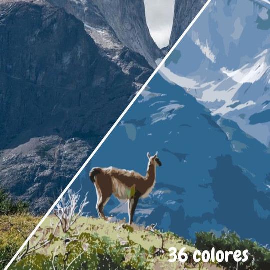Pintura con números personalizada