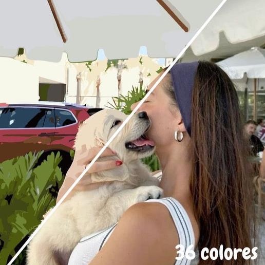 Pintura con números personalizada