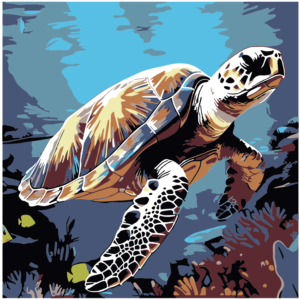 Pintura Tortuga