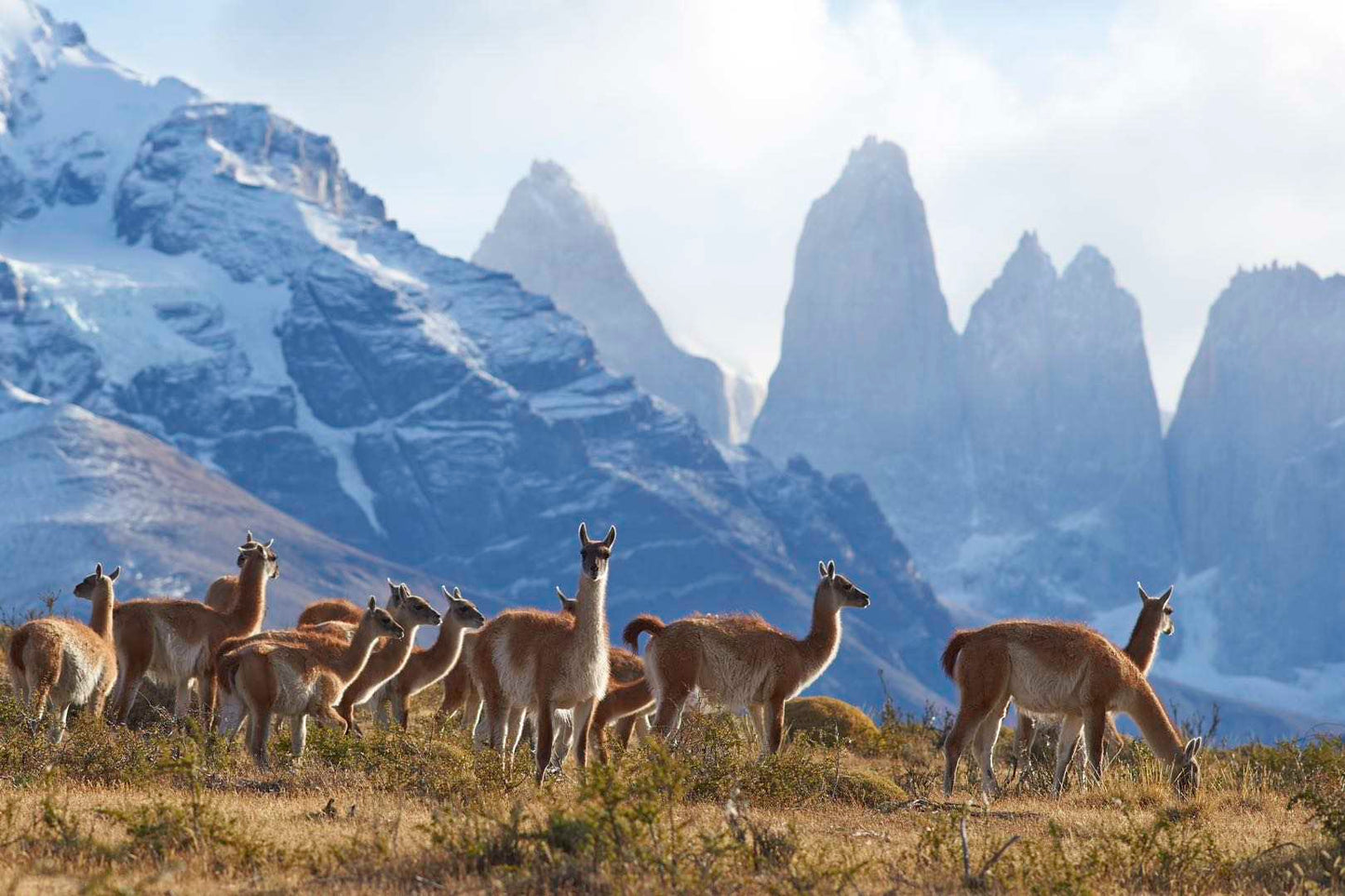 Pintura Torres del Paine V2