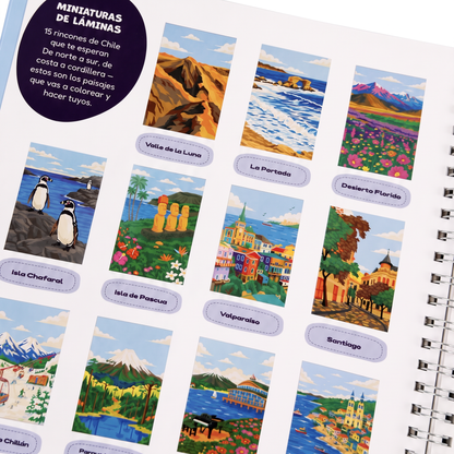 Pack Libro + Marcadores