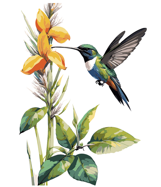 Pintura Pequeño Colibrí